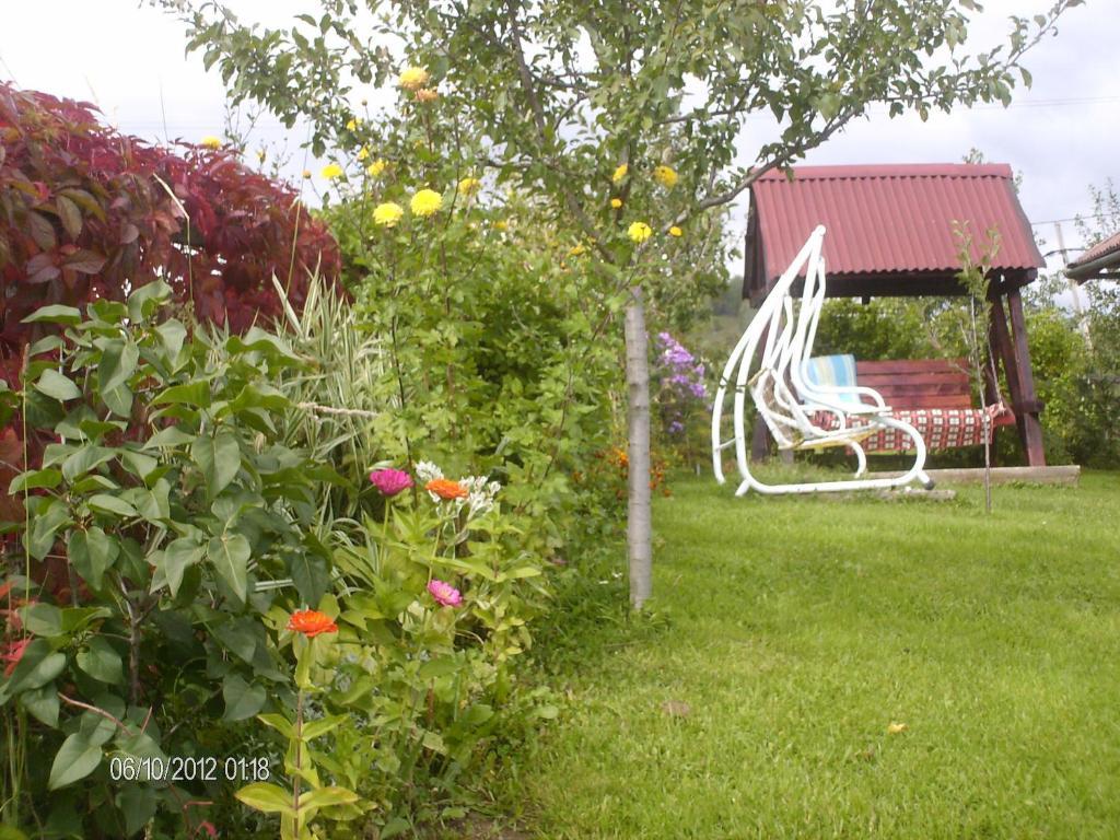 Pension Cote D'Amour Moieciu de Jos Exterior photo